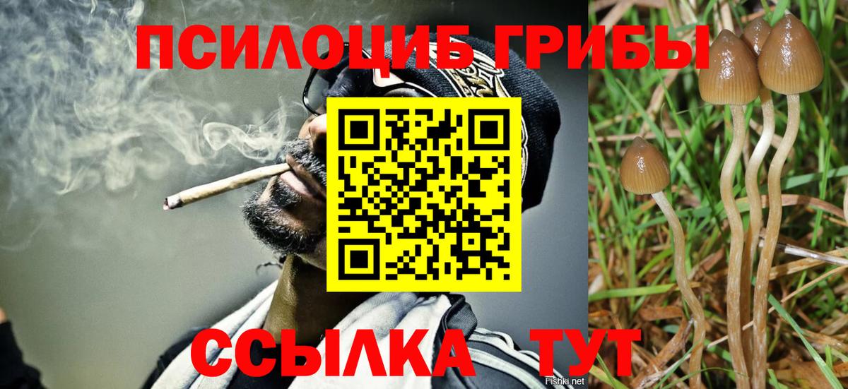 Псилоцибиновые грибы мицелий  Вход с VPN  дарнет шоп  Бутурлиновка 