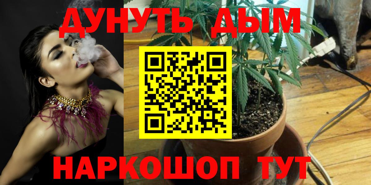 Бошки марихуана Amnesia Бутурлиновка
